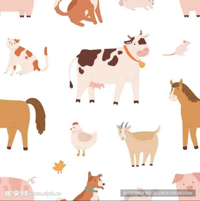动物