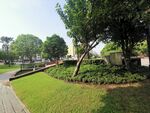 公园美景