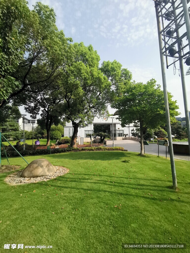 公园草地 