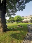 公园草地  