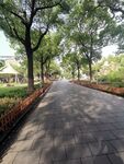 城市小道