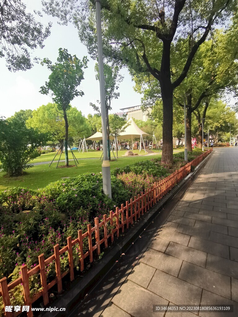 林间小道