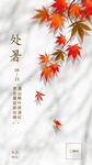 处暑海报2