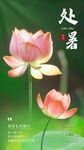 处暑海报3