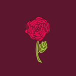 玫瑰花