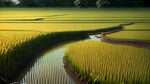 稻田中的微缩景象水田多个稻穗