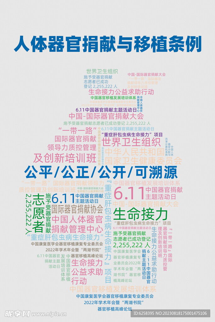 器官宣传海报