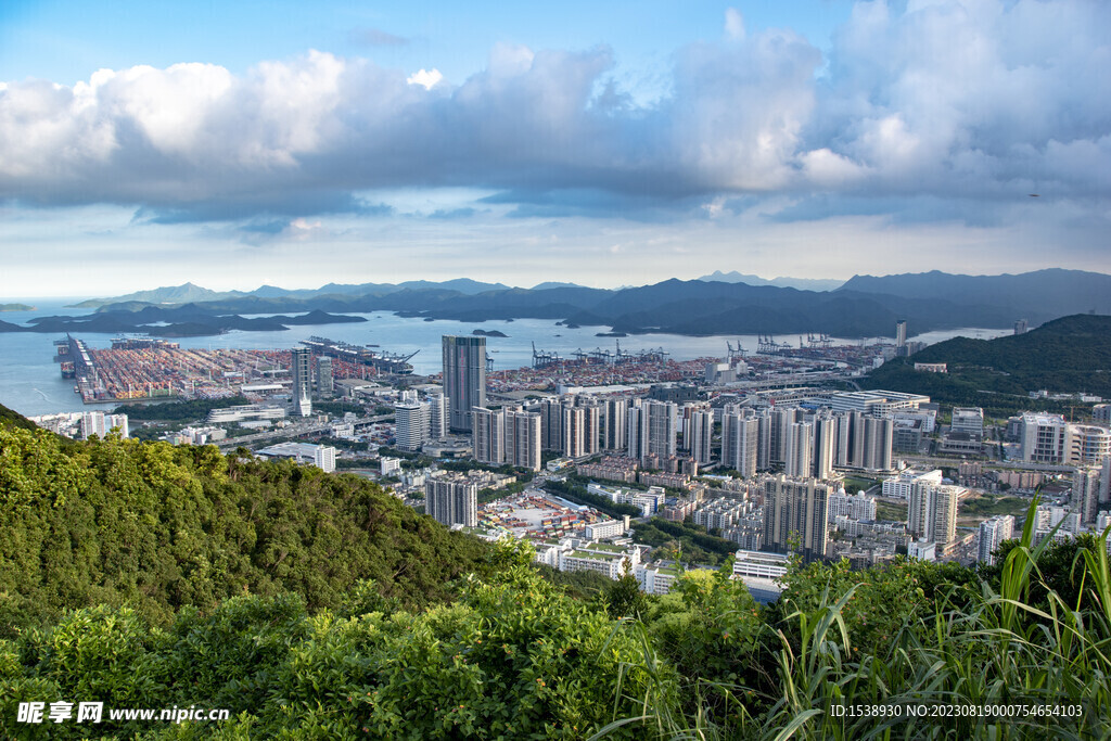 盐田港