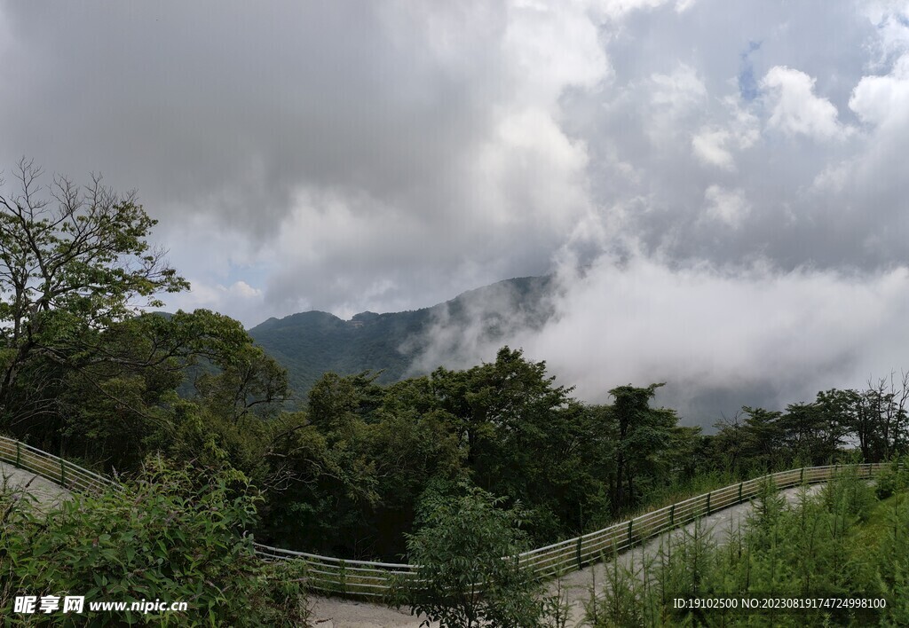 龙头山云雾