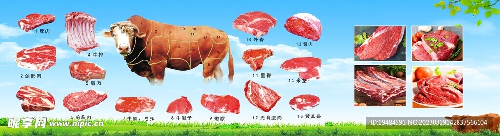 牛肉分割图