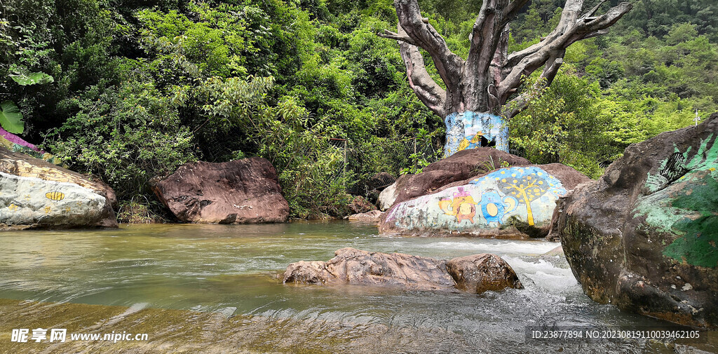 白水寨风景