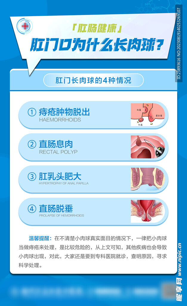 肛门口长肉球