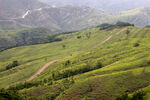 高山小路