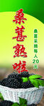 桑葚熟啦