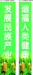 发展民族产业