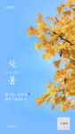 房地产处暑节气祝福海报