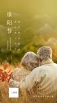 重阳节节日祝福海报