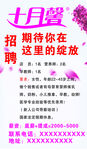十月馨招聘