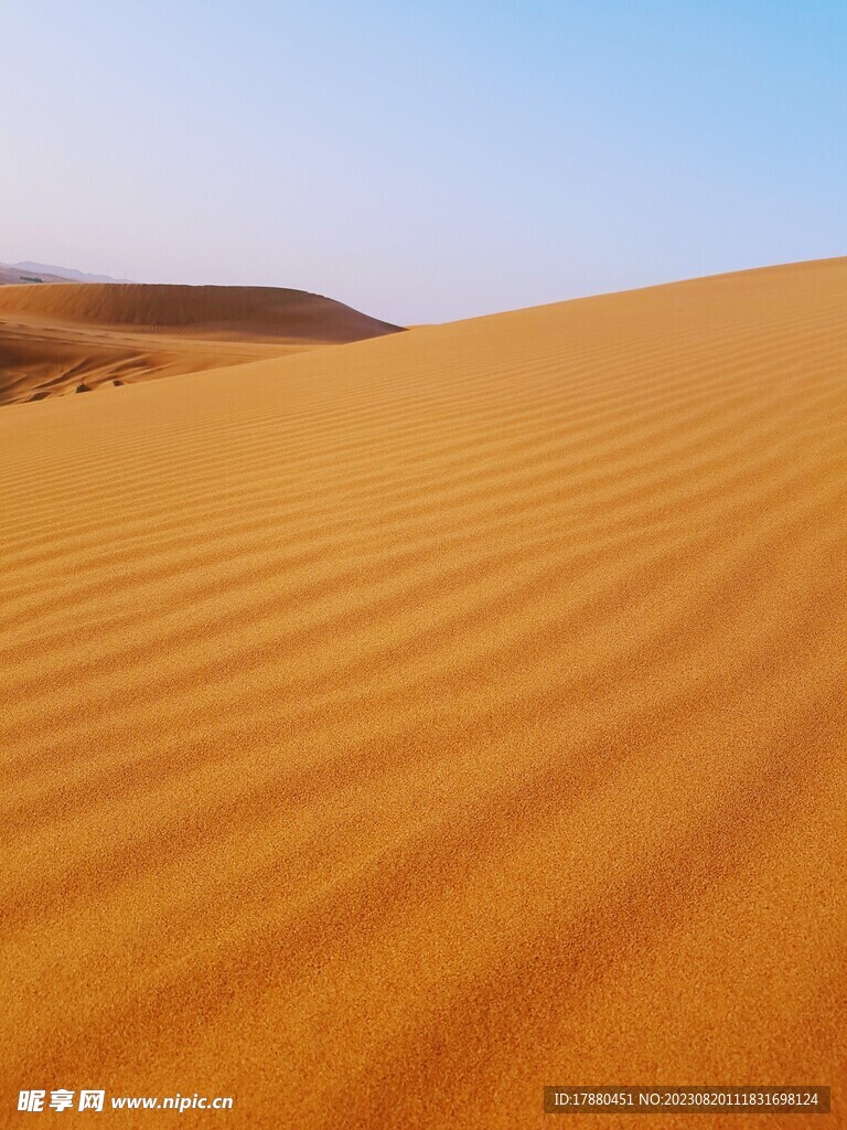 沙漠