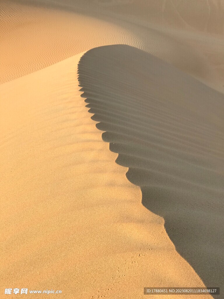 沙漠