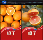 橙子