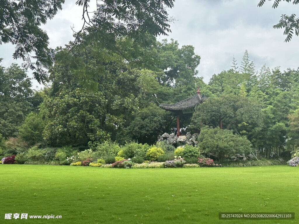 公园草地树木风景