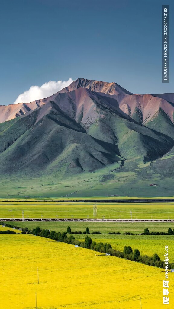 山区春游