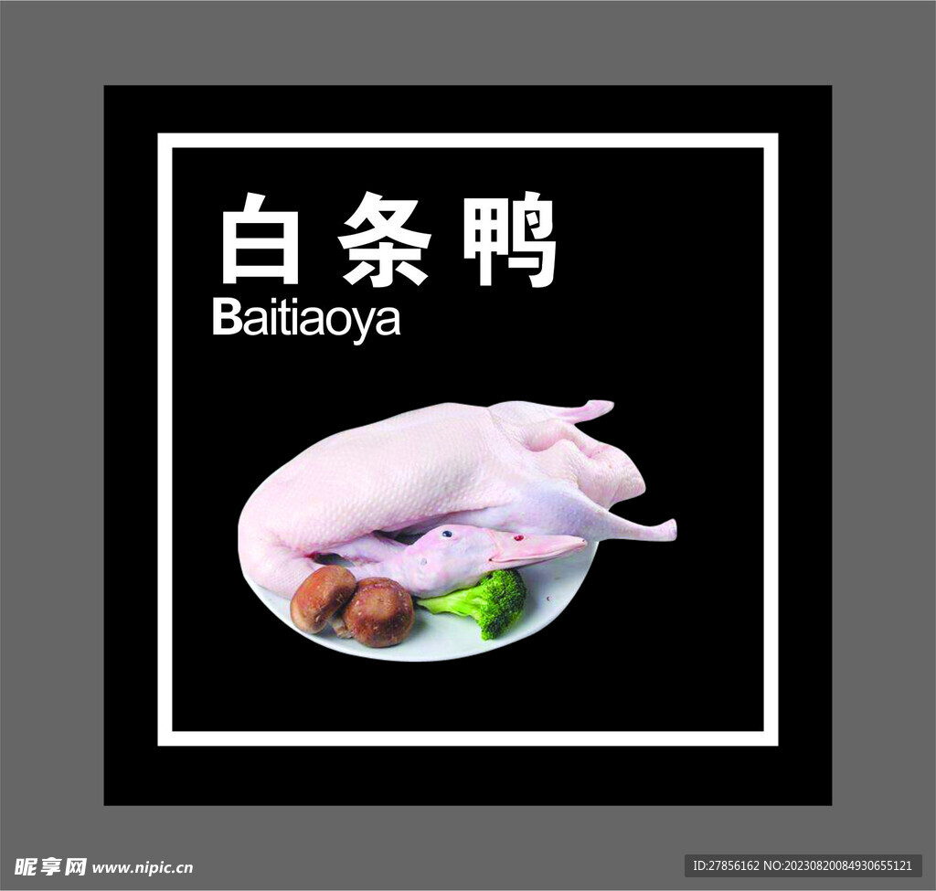 白条鸭