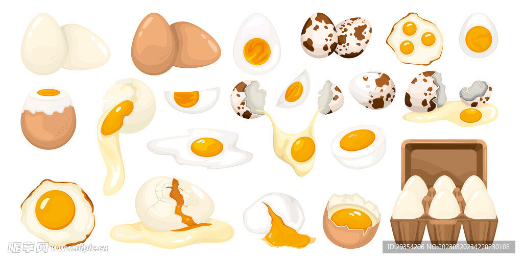 鸡蛋矢量 图片