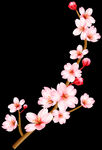 花朵