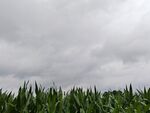 农村的天空