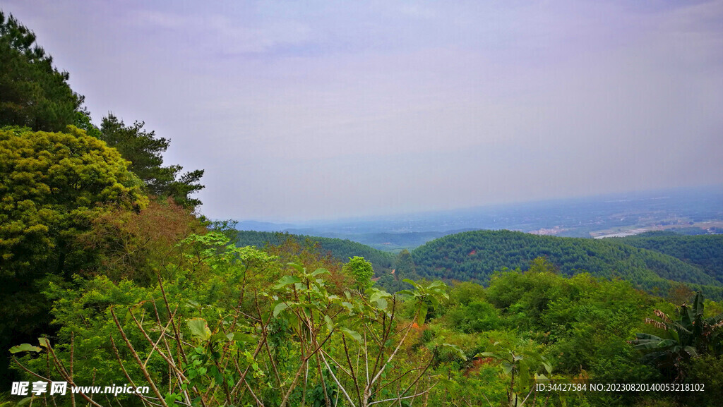 山坡风光