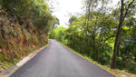 山路风景