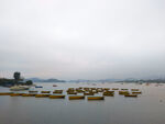 海上的渔船