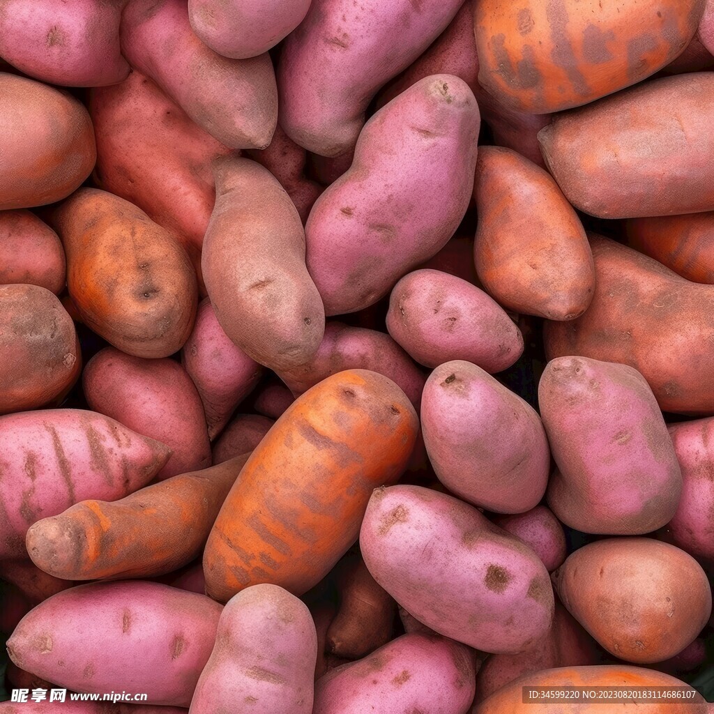 地瓜番薯图片素材-编号14744372-图行天下