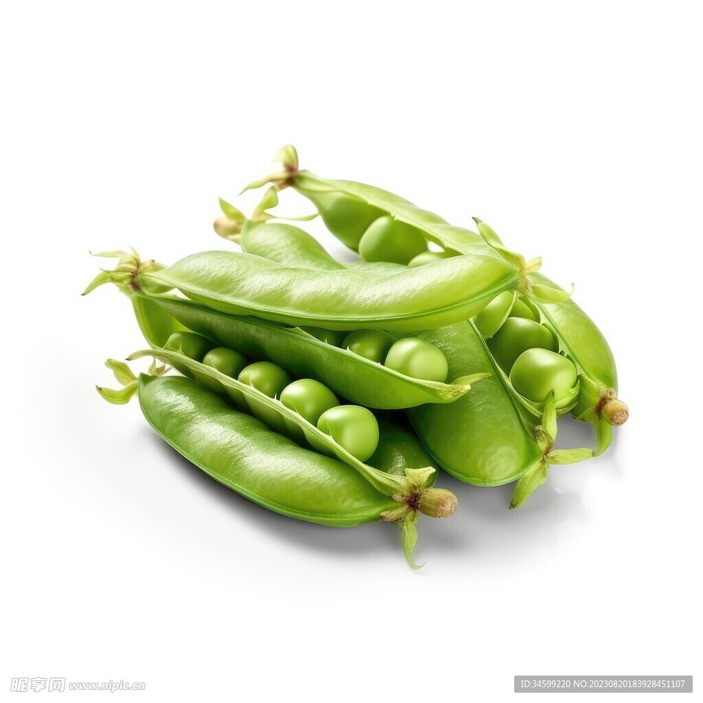 豌豆（荷兰豆）生长摄影图__蔬菜_生物世界_摄影图库_昵图网nipic.com