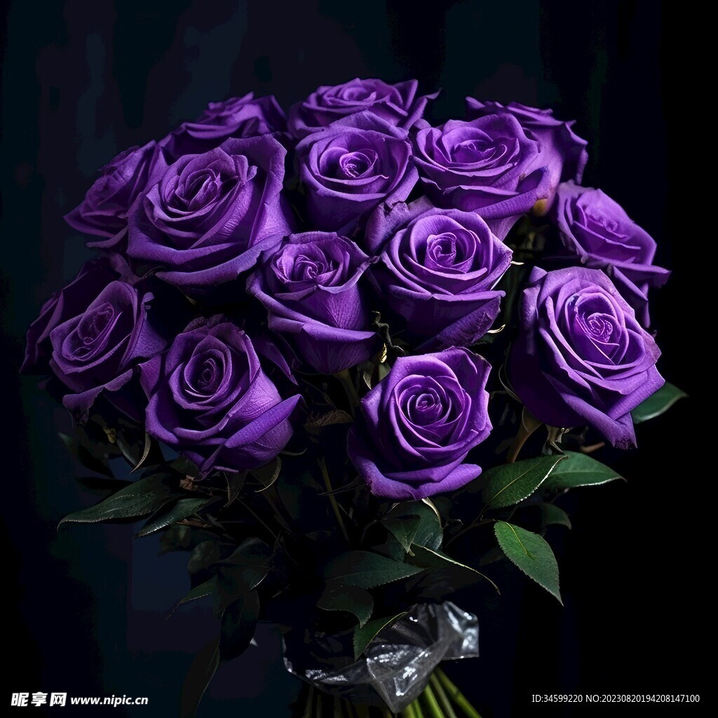 玫瑰花 