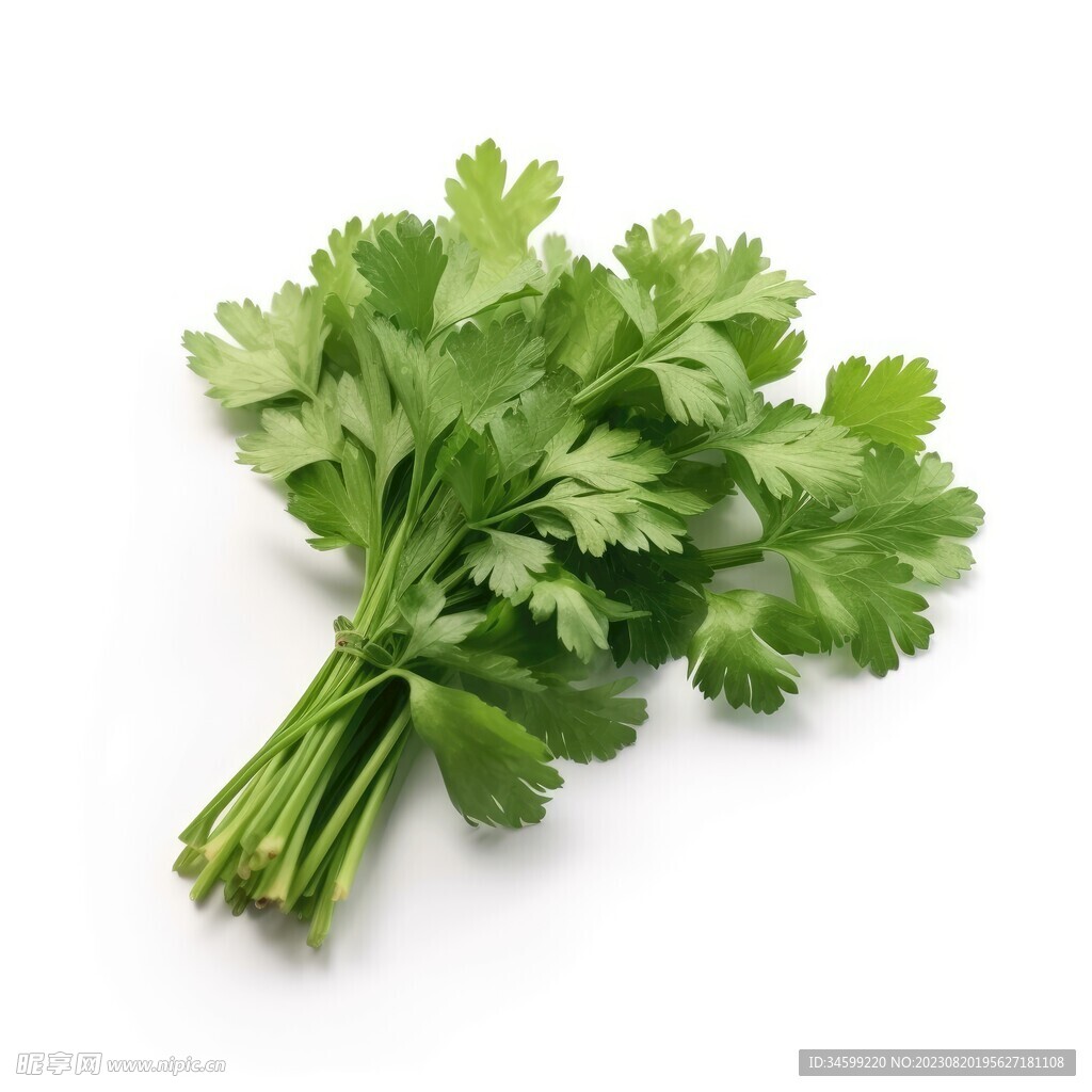 香菜  