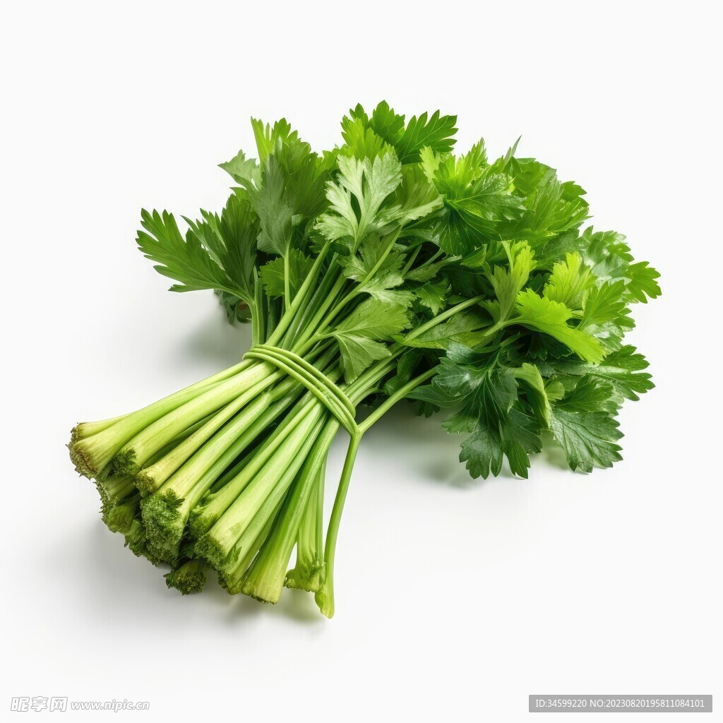 香菜  