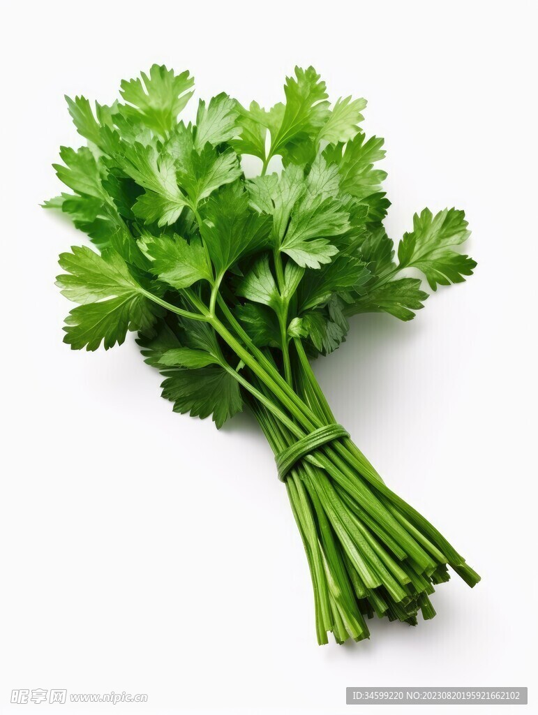 香菜  