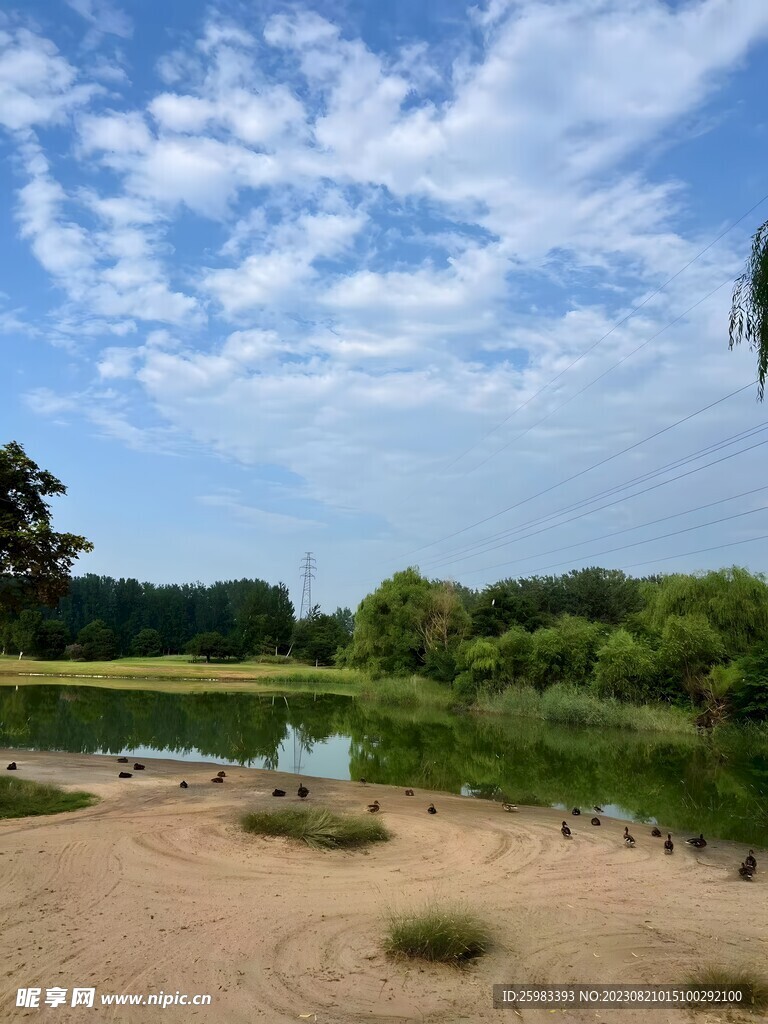 湖畔公园
