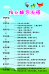 作业辅导流程