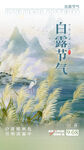 白露海报