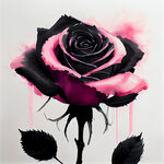 满底黑色笔触玫瑰加粉色水彩效果