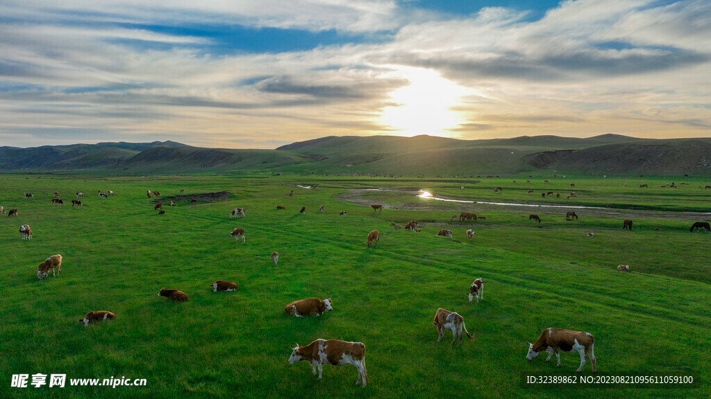 内蒙古大草原上的牛羊马