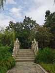 小桥