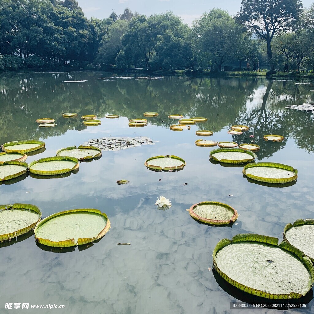 公园美景