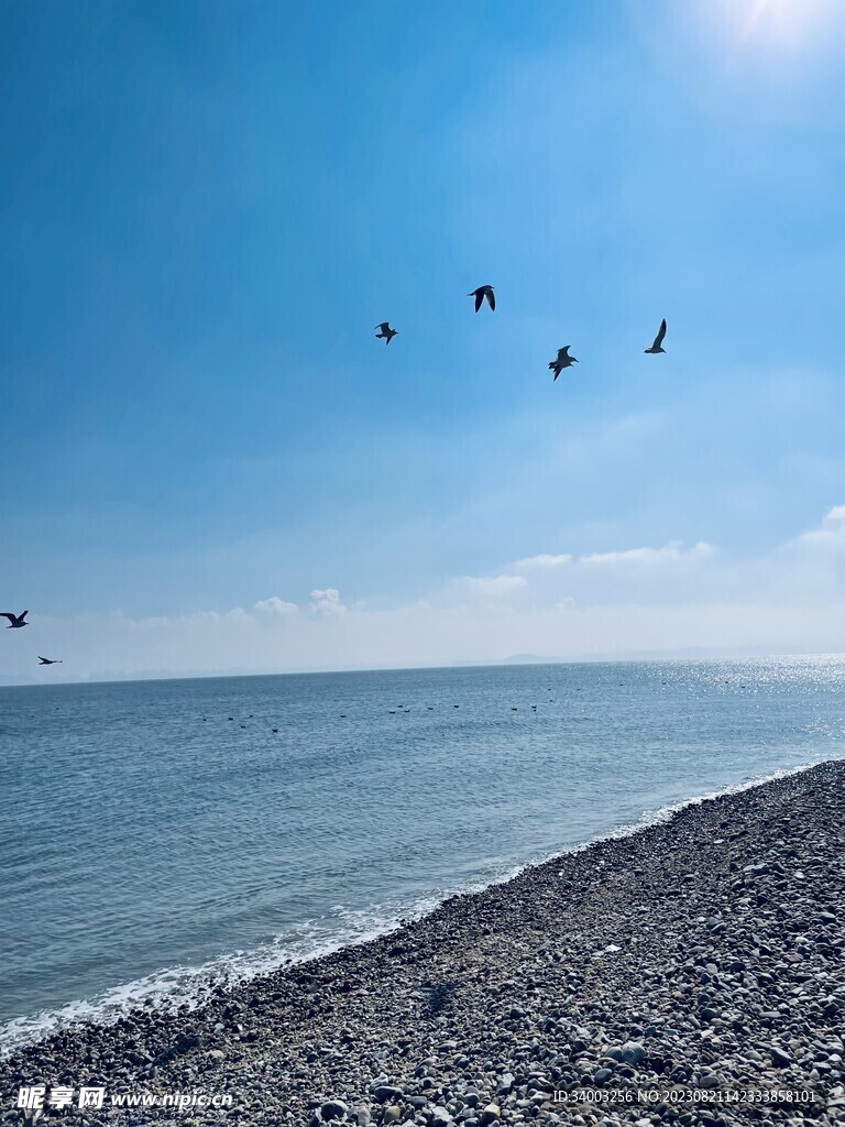 大海