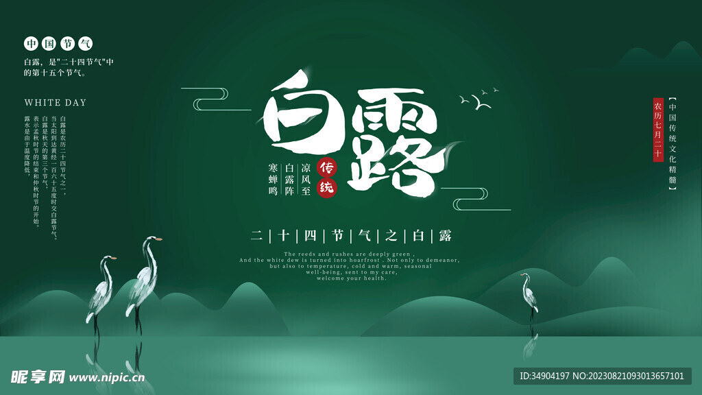 白鹭微信稿
