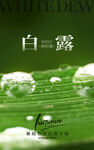 白露节气